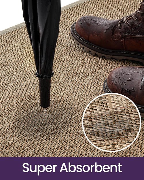 DEXI Ultra Thin Indoor Door Mat - Non-Slip Rubber Backing | Easy-Clean Dirt Trapper, 24x36, Beige