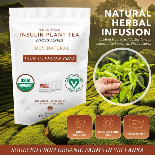 True Vine Insulin Plant Tea (USDA Organic) — Herbal Organic Tea Bags for Blood Sugar Support, Digestive Wellness & Metabolic Balance — 100% Natural, Caffeine-Free, No Additives – 31 Sachets (4g Each)