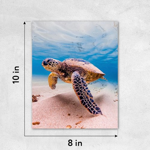 Custom Poster Print - Create Your Own Personalized Photo Poster | Premium Vinyl Wall Art - 8x10 Inches