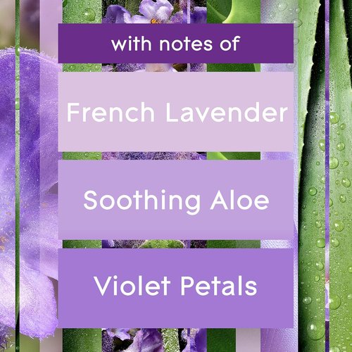 Glade Automatic Spray Refill - Tranquil Lavender & Aloe Air Freshener | 6.2 Oz, 3 Count for Home & Bathroom