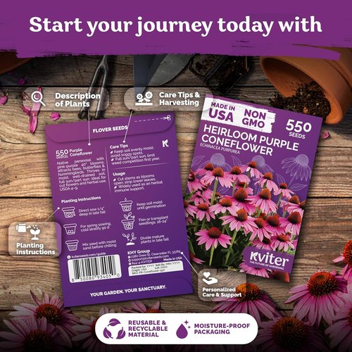 KVITER 550 Purple Coneflower Seeds - Echinacea Purpurea Herb Flower Seeds for Medicinal Gardens | Wildflower Pollinator Pack