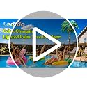 Color Changing 6FT Outdoor Palm Tree Lights with Remote Control and Coconuts