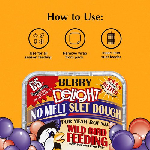 C&S Berry Delight Suet Cakes for Wild Birds - No Melt Formula, 11.75 Ounces, Pack of 8