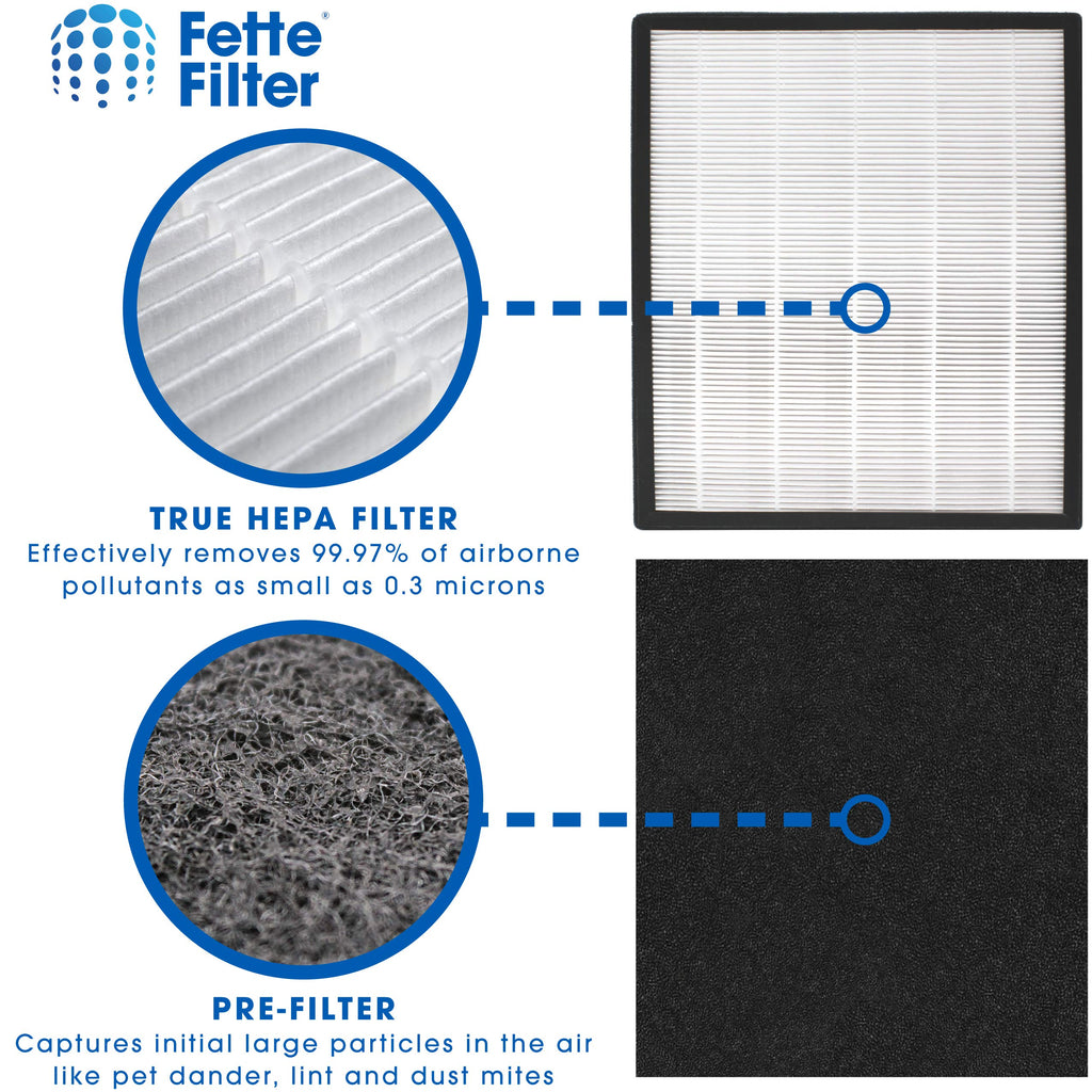 Fette Filter - Replacement Filter J Compatible with GermGuardian FLT5900 for AC5900WCA & AC5900WDLX Air Purifier includes 2 Filters 4 Activated Charcoal Filter.