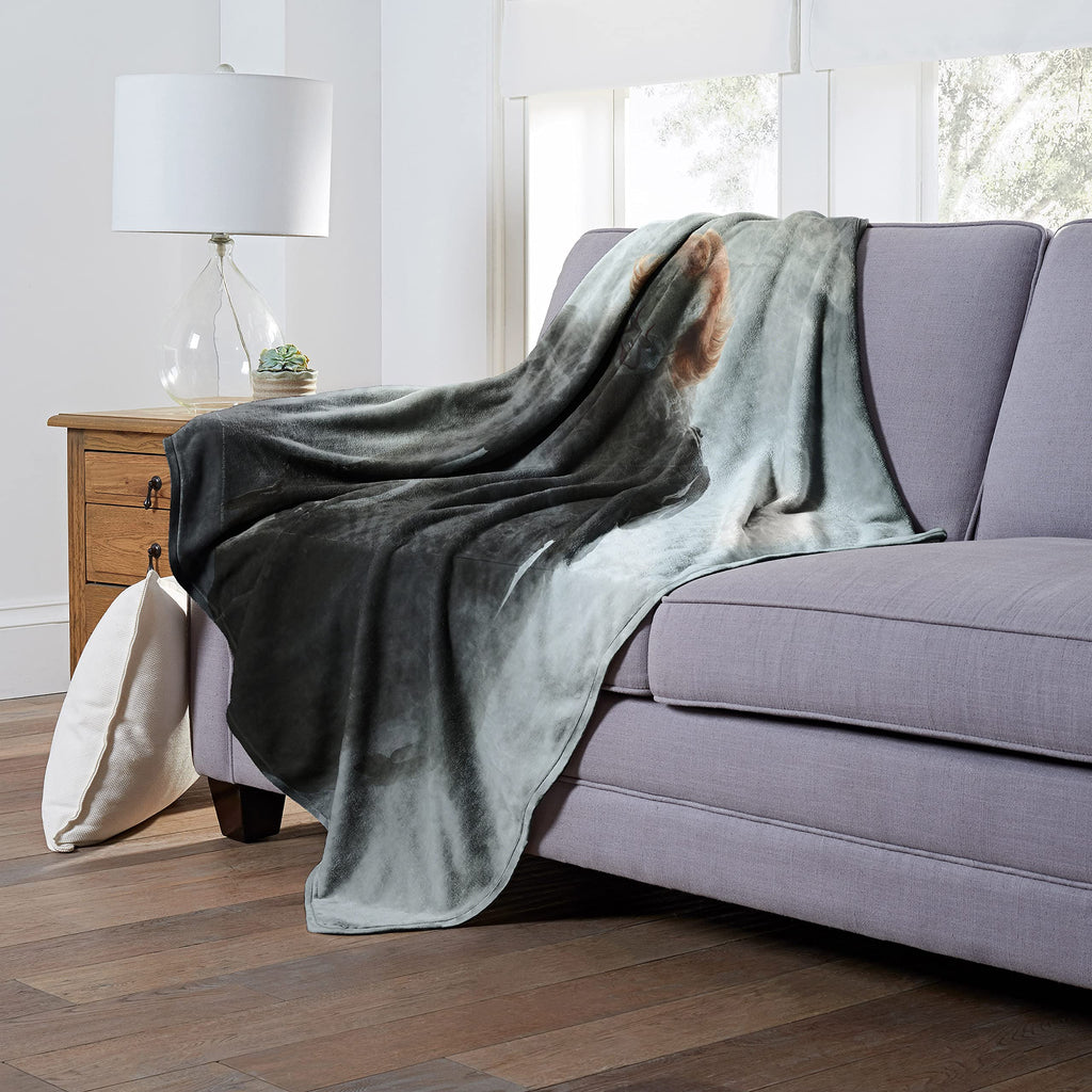 Northwest IT Silk Touch Throw Blanket, 50" x 60", Smokey Clown