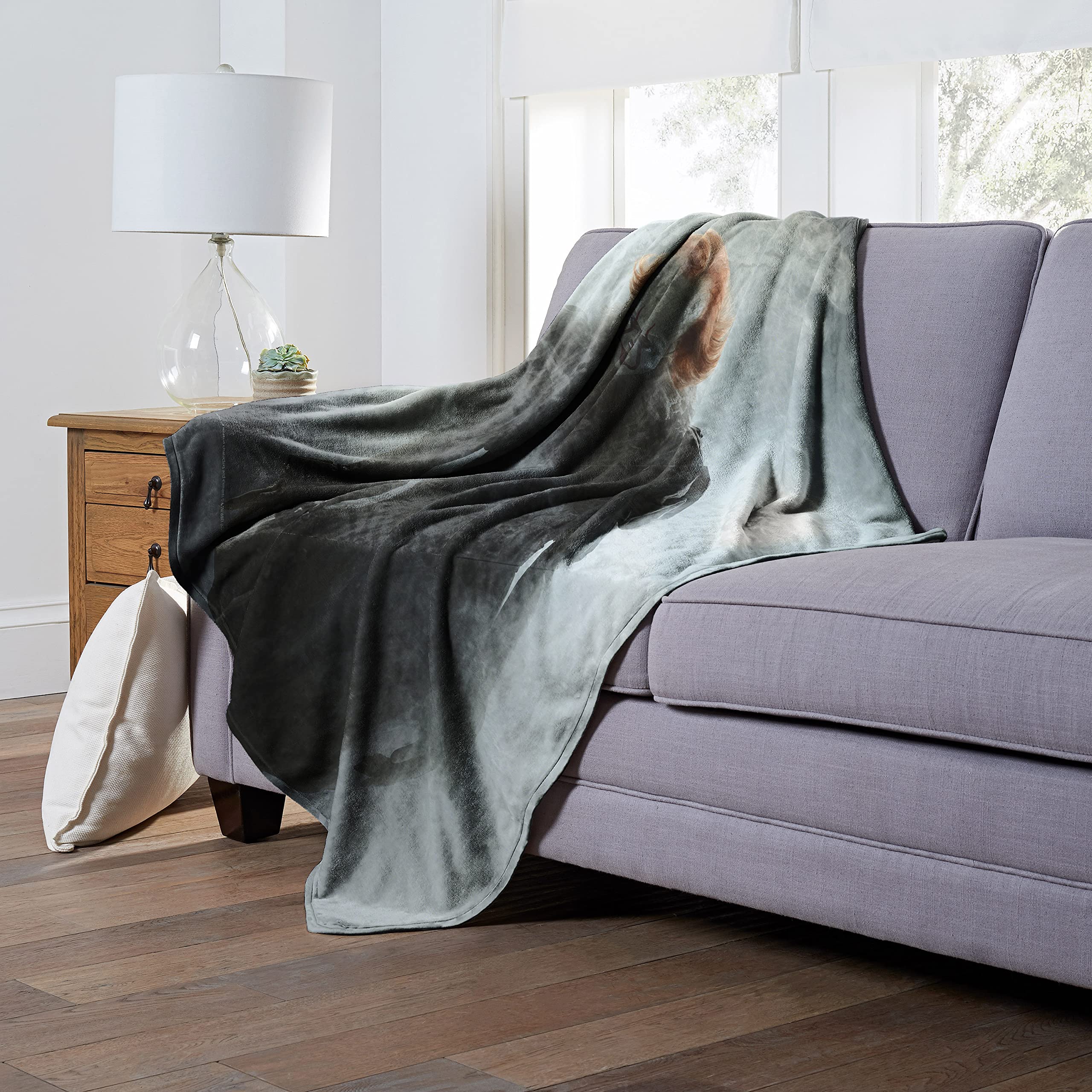 Northwest IT Silk Touch Throw Blanket, 50" x 60", Smokey Clown