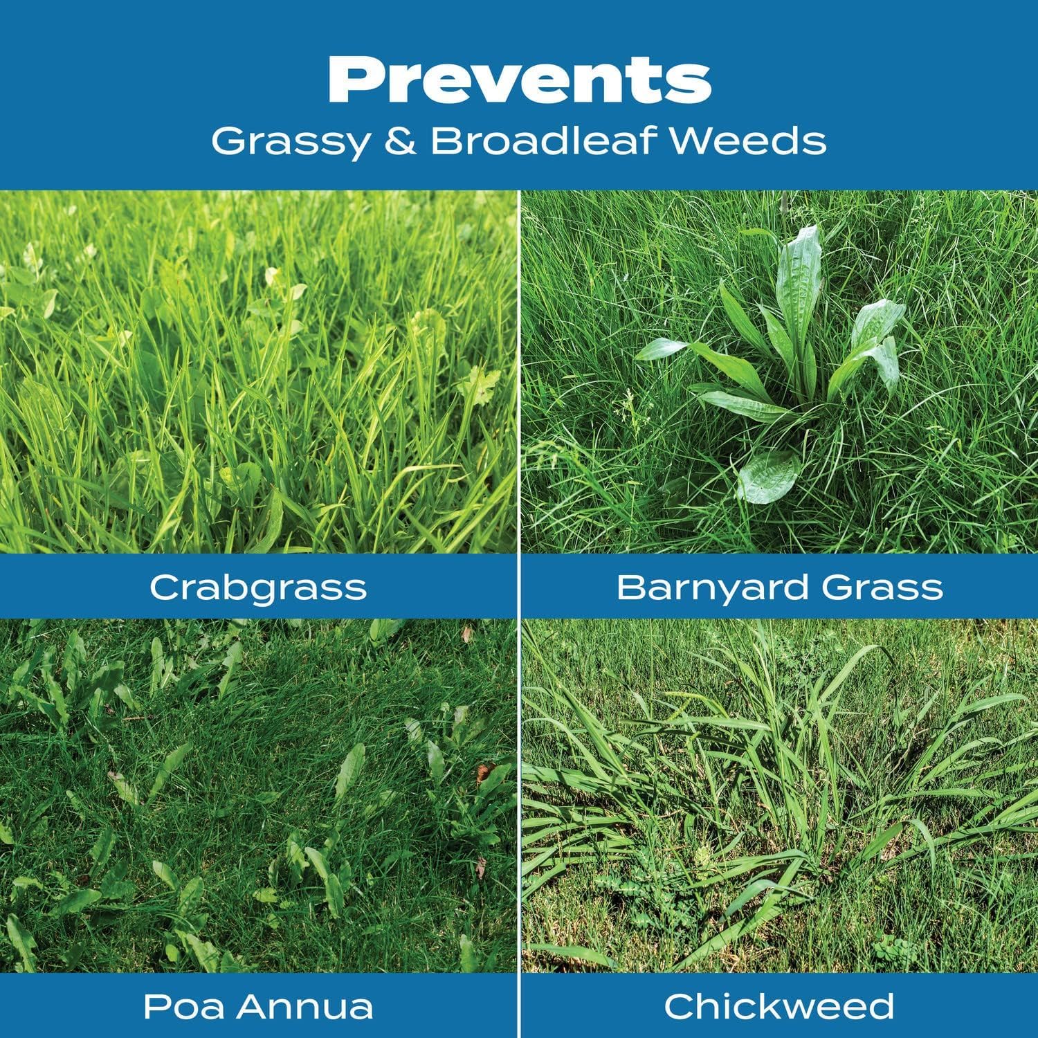 Scotts Turf Builder Crabgrass Preventer & Lawn Food - Covers 5,000 Sq. Ft. for a Lush Lawn