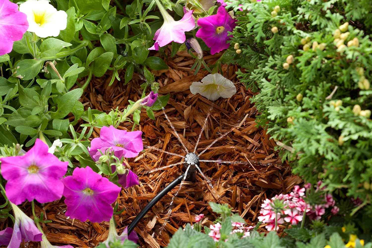 Rain Bird LNDDRIPKIT Drip Irrigation Kit - Efficient Landscape & Garden Watering System with Drippers & Micro-Sprays