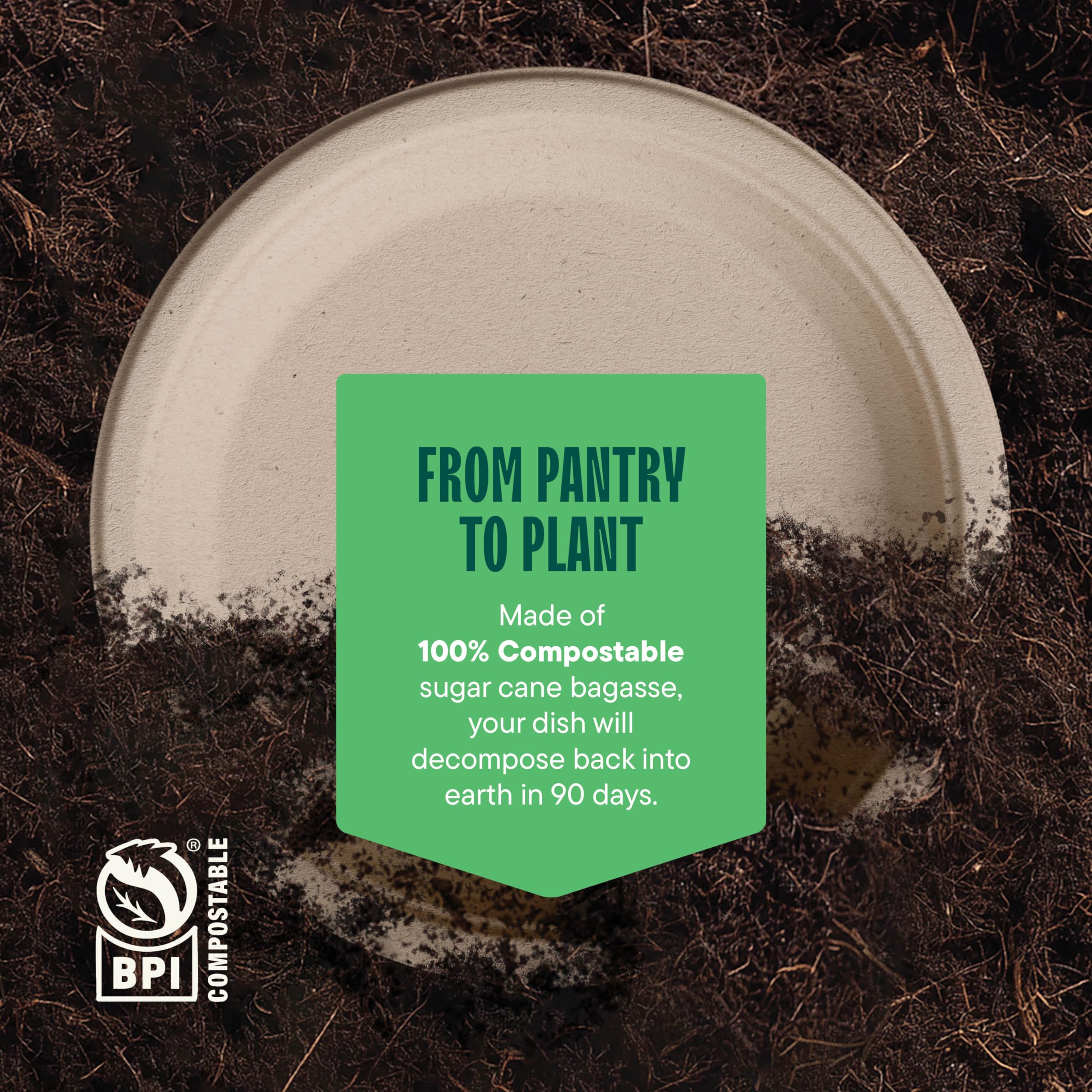 Deep Dish Paper Plates, Heavy Duty Disposable Dinner Plates [500-Pack] 10 Inch Plates - 100% Compostable Eco-Friendly, Biodegradable Sugarcane Bagasse, Natural Brown 10" Paper Plate Disposable