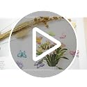 KEYDUACU 12-Piece 3D Butterfly Fridge Magnets for Whiteboards and Lockers