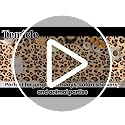 Temicle 3-Pack Leopard Print Plastic Tablecloths - 54 x 108 Inch Disposable