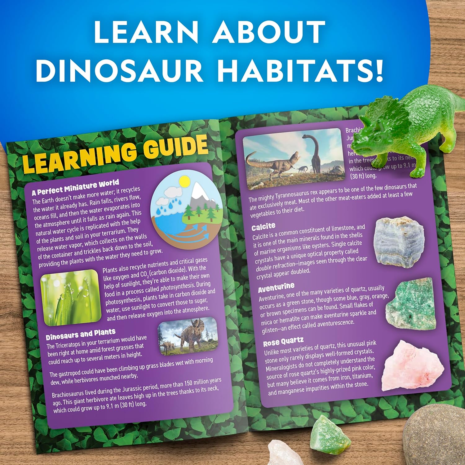 National Geographic Dinosaur Terrarium Kit - Light-Up Dino Habitat with Real Plants | Science Kit for Kids