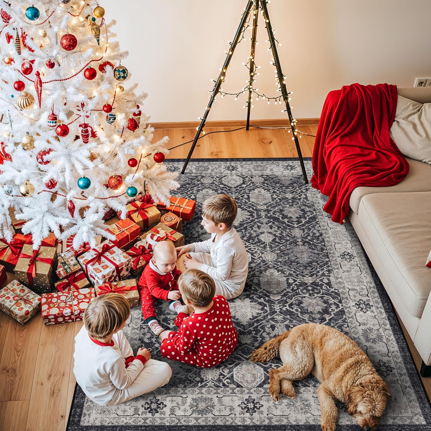 Skiennix 4x6 Living Room Area Rug - Washable Non-Slip Boho Design | Low Pile Neutral Carpet for Kids Room, Office, Kitchen