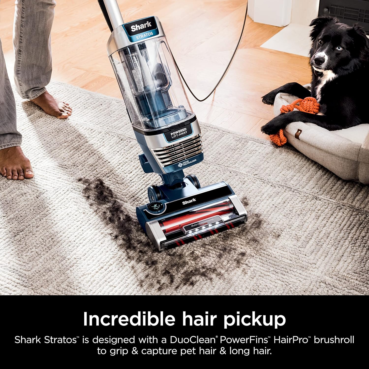 Shark Stratos Upright Vacuum - DuoClean PowerFins & HairPro | Powered Lift-Away, Navy AZ3002