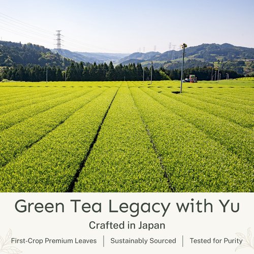 Yu Tea Decaf Organic Sencha Green Tea Powder, 30 Instant Packets | Rich in Antioxidants, EGCG, & L-Theanine | Pure Japanese First Harvest Leaf | Caffeine-Free & Unsweetened | Single Serve Sticks