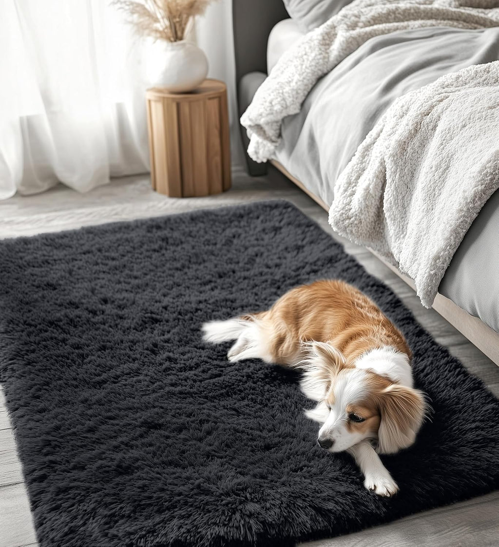 OLANLY 4x4 Soft Fluffy Shaggy Accent Rug - Machine Washable Indoor Carpet for Bedroom & Nursery, Black