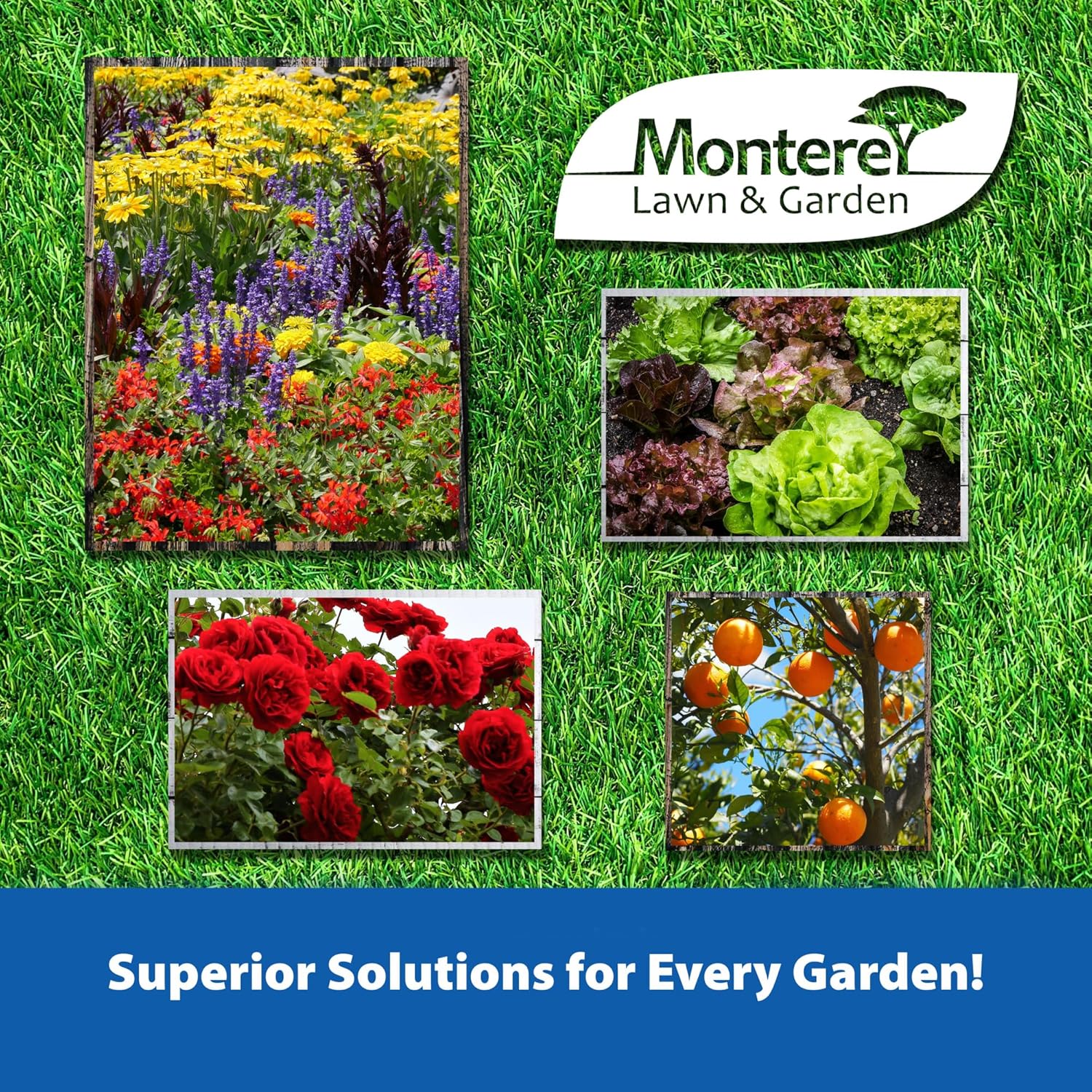 Monterey Spurge Power Herbicide Concentrate - Post Emergent Formula with Measuring Spoon - 1 Pint