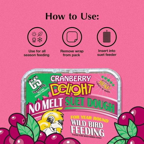 C&S Cranberry Delight Suet Cakes - No Melt Formula for Wild Birds | 8 Pack for Robins, Blue Jays & More