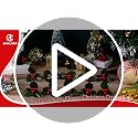 50 Pcs Gold Christmas Holly Berries with Leaves for Crafts Holiday Decor