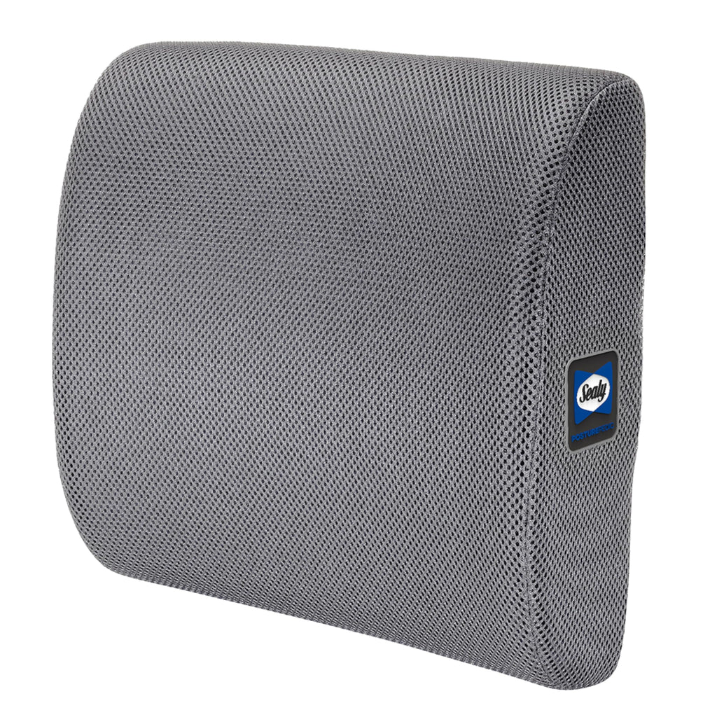 Sealy Ergonomic Lumbar Support Pillow for Office Chair and Car Seat - Memory Foam Back Support Lumbar Pillow, Premium Cushion Chair Support for Lower Back Pain Relief and Versatile Use (Gray)