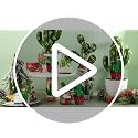 27 Pieces Christmas Tree Ornaments Set - Wooden Cactus with Santa Hat Decorations