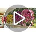 Artificial Pink Hibiscus Hanging Flowers - 2Pcs UV Resistant Silk Vines