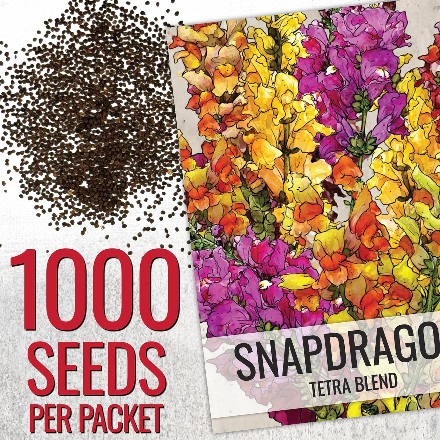 Seed Needs Mixed Tetra Snapdragon Seeds - 1,000 Heirloom Seeds for Vibrant Annual Flowers | Attract Pollinators