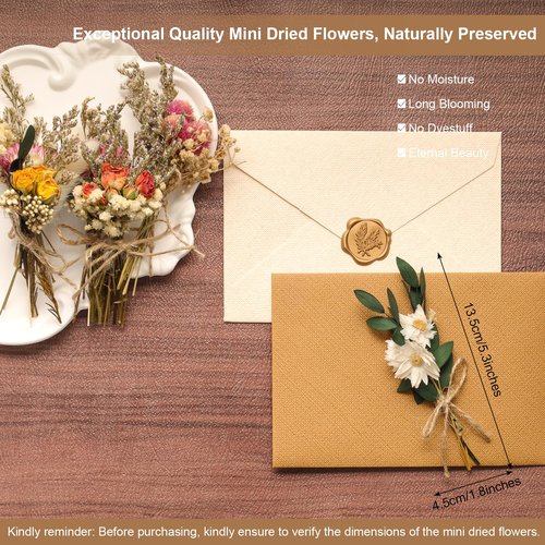 Fumwase 6Pcs Mini Dried Flower Bouquet Natural Real Flowers for Crafts Boho Dried Flowers Bulk Small Dried Flowers for Vase Dried Wildflowers for DIY Photo Props Gift Wedding Decor