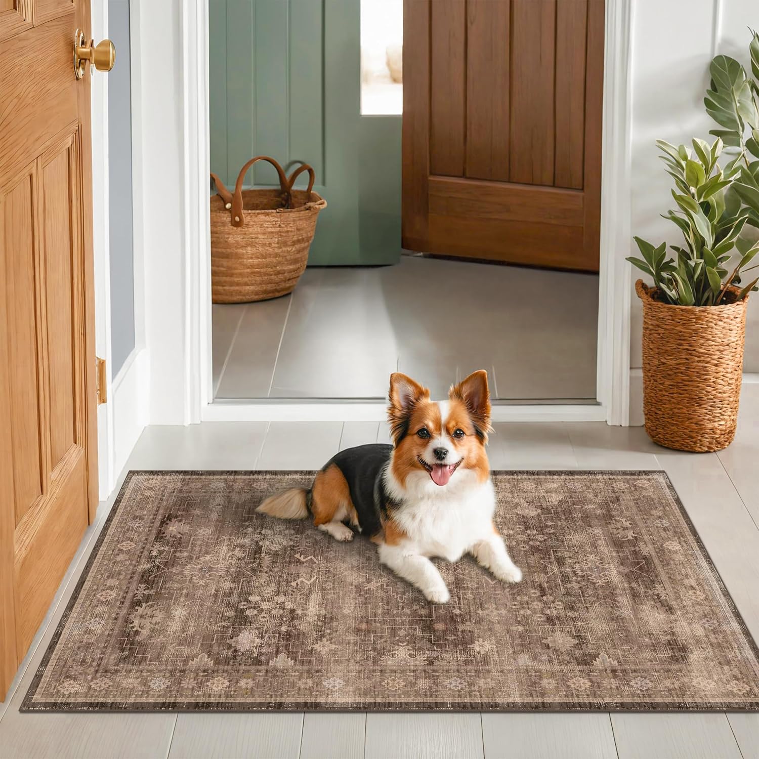 Boho Taupe Brown 3x5 Area Rug - Washable Low Pile Non-Slip Design for Entryway, Kitchen & Laundry