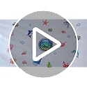 24 Pcs Ocean Sea Animal Door Magnets - Fish, Turtles, Sharks