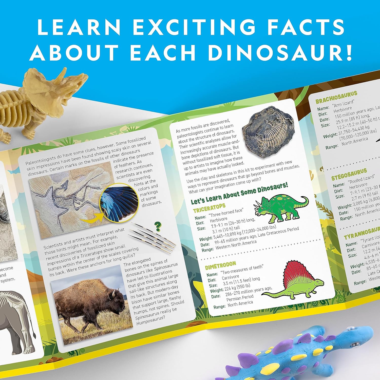 National Geographic Clay Dinosaur Arts & Crafts Kit - Air Dry Clay with 5 Colors & Dino Skeletons for Kids Ages 4-10