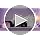 Purple Flower Rose Necklace with Automatic LED Lights - Sereney Preserved Flower