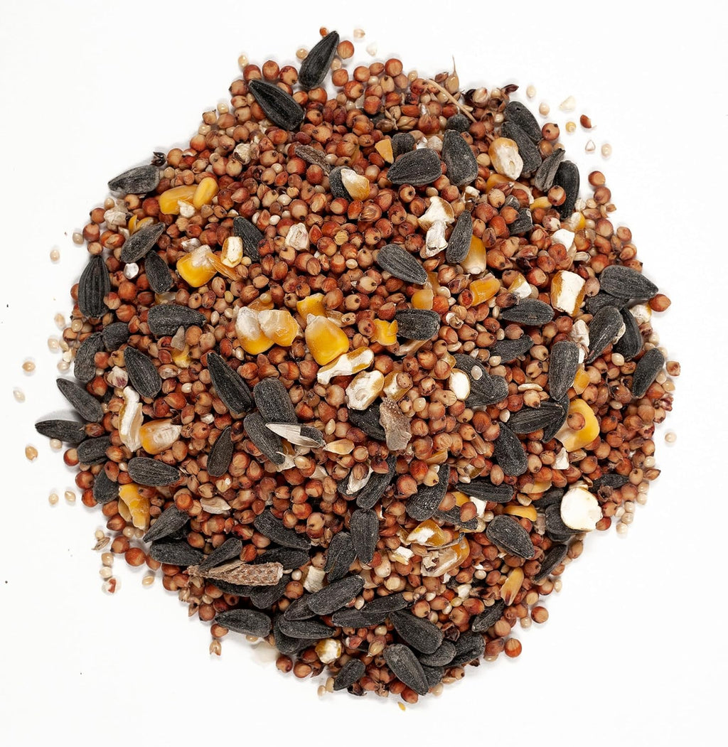 Wagner's Farmer's Delight Wild Bird Food - Cherry Flavor, 10-Pound Bag | Premium Nutrition