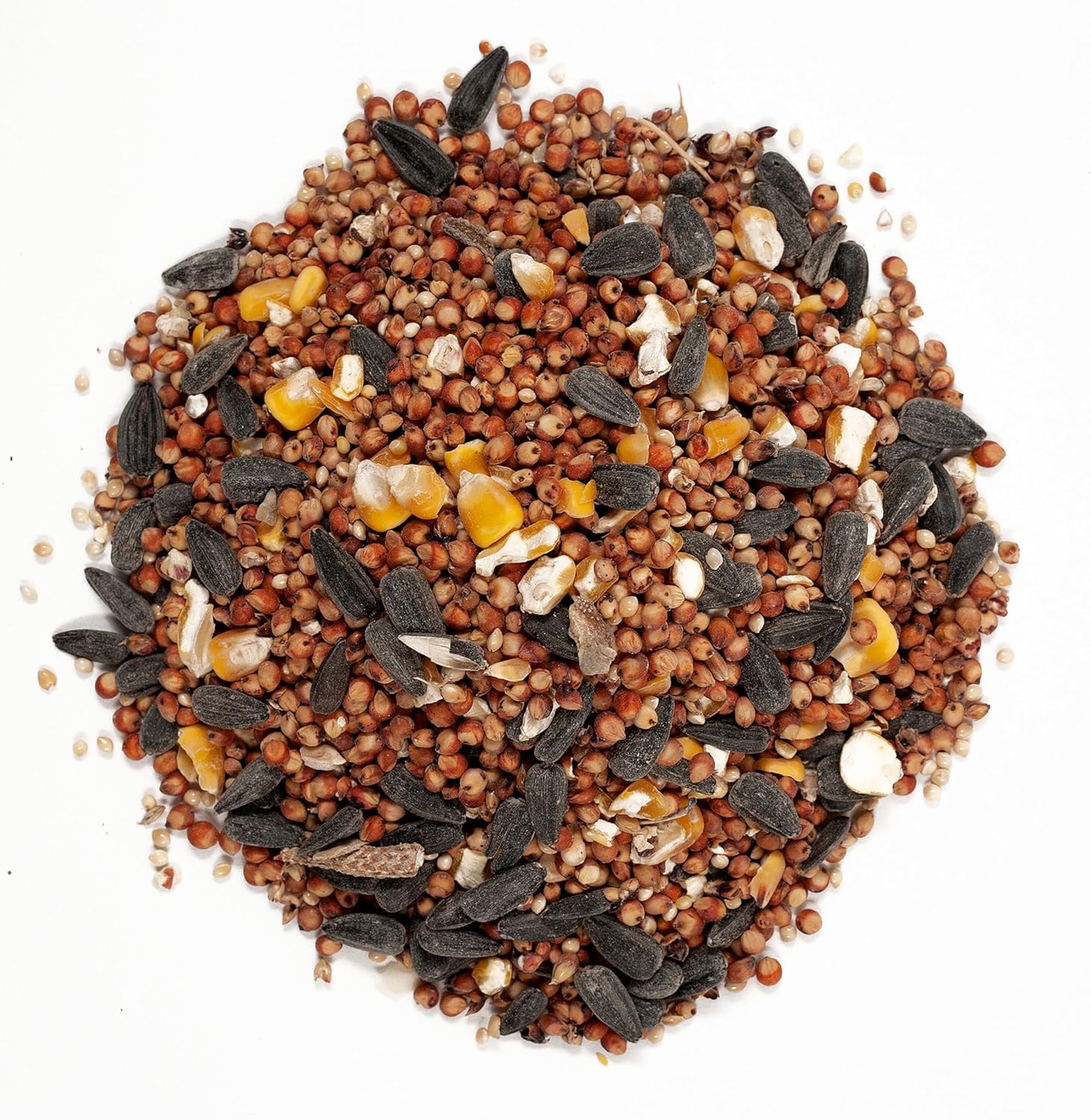 Wagner's Farmer's Delight Wild Bird Food - Cherry Flavor, 10-Pound Bag | Premium Nutrition