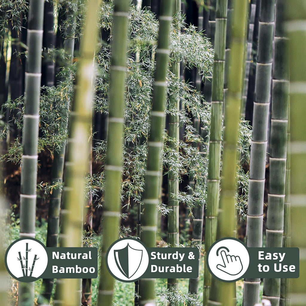 Bamboo Plant Stakes - 50 Pcs 2ft Garden Support Sticks for Indoor/Outdoor Plants | Ideal for Tomatoes, Vegetables, and Climbing Plants