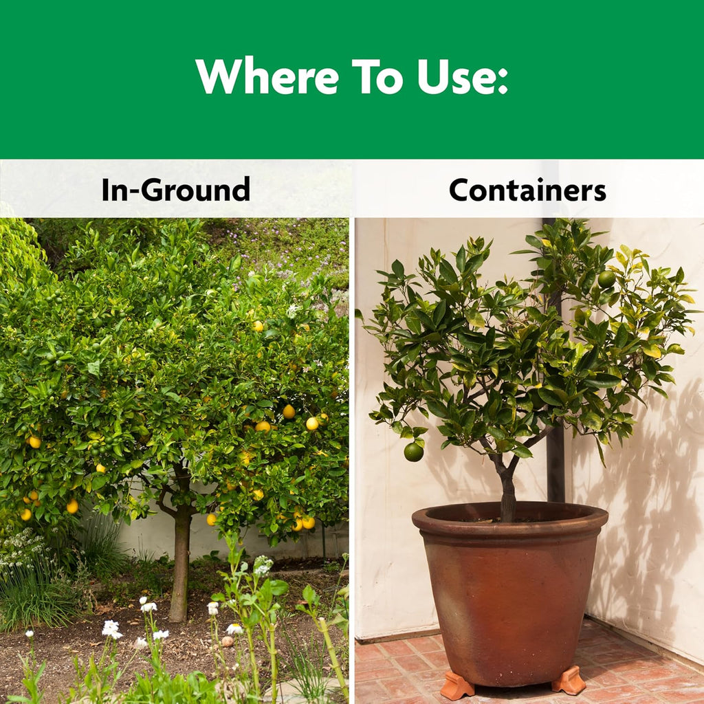 Miracle-Gro Shake 'N Feed Plant Food - Nourishes Citrus, Avocado & Mango Trees | 4.5 lbs