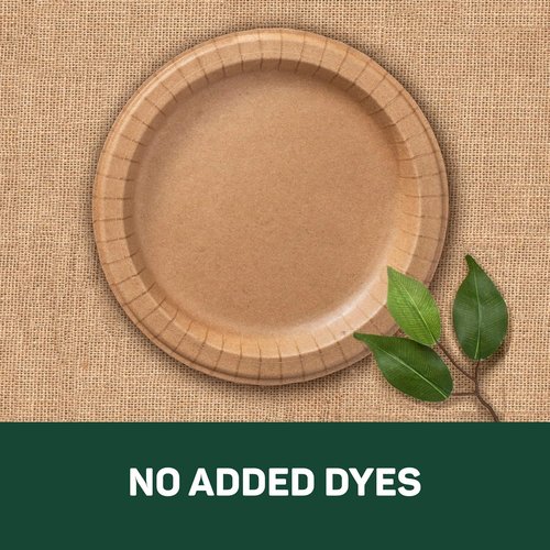 Dixie EcoSmart 100% Recycled Fiber Paper Plates - Large 10" Disposable Plates | 144 Count Pack of 4
