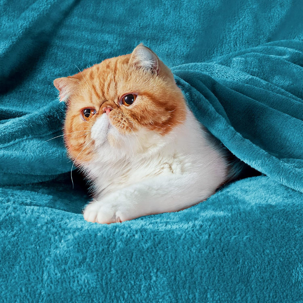 Bedsure GentleSoft Fleece Blanket - King Size Teal | Soft, Lightweight, Plush & Cozy Microfiber, 108x90 Inches
