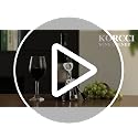 KORCCI Wing Corkscrew Wine Opener Set - Ash Silver with Stopper & Foil Cutter