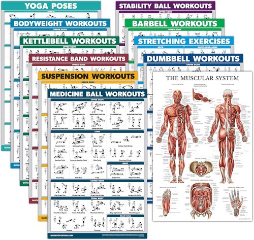 Exercise Poster Set by LAMINATED - 11 Pack of Dumbbell, Kettlebell, Yoga & More | 18" x 24" Size