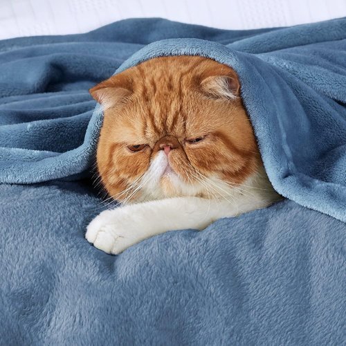 Bedsure GentleSoft Fleece Blanket - King Size Cozy Plush Microfiber in Washed Blue, 108x90 Inches
