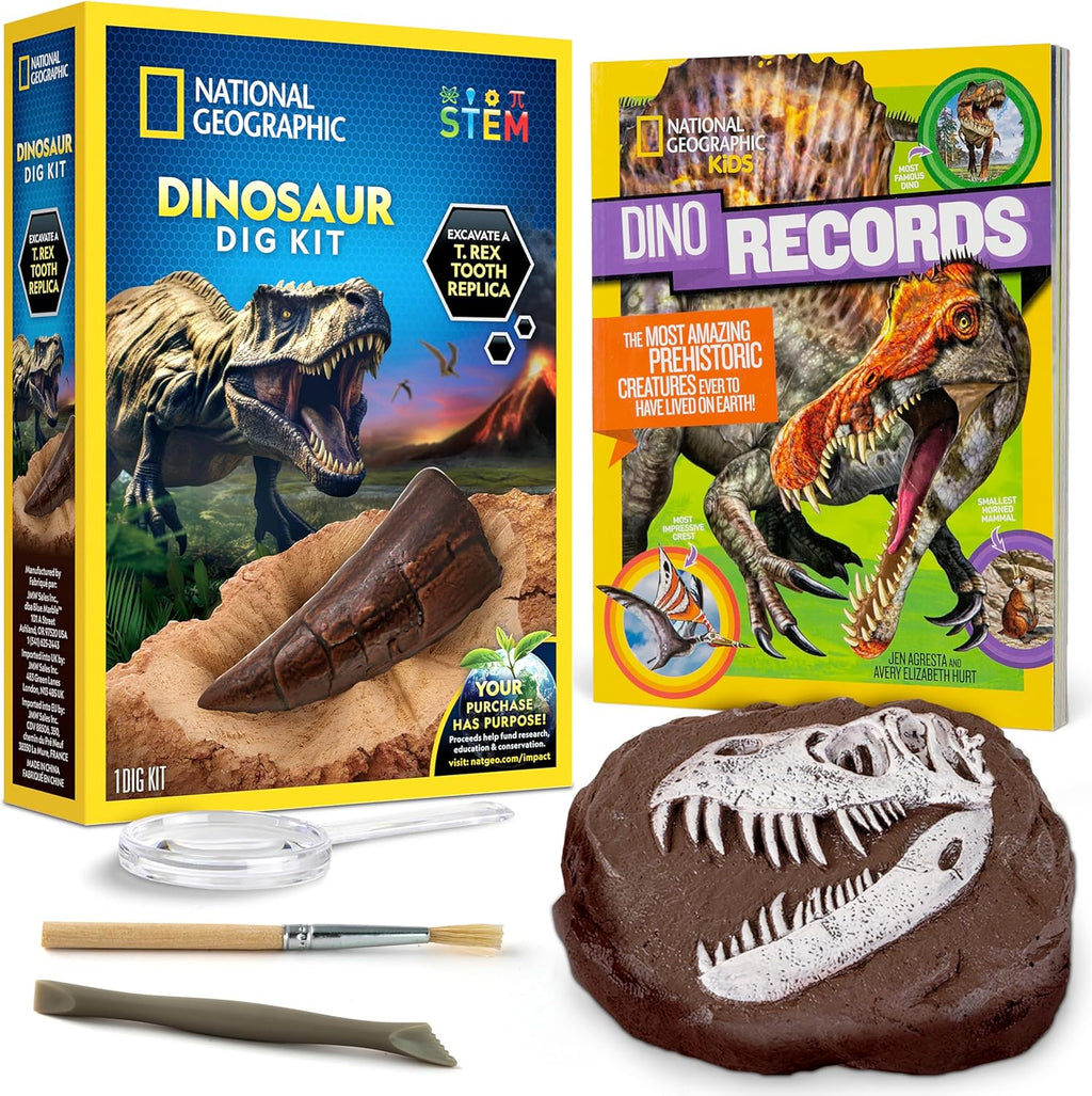 National Geographic Dino Fossil Dig Kit - Excavate Dinosaur Tooth Fossil & Explore Paleontology with Activity Book for Kids