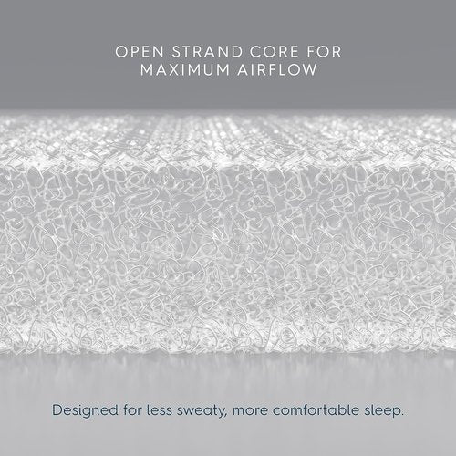 HALO DreamWeave BassiNest Pad - Hypoallergenic, Breathable Mesh with 100% Washable Cover & Core