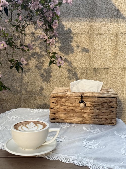 Water Hyacinth Tissue Box Cover Rectangular Decorative Woven Tissue Box Holder for Table Bathroom (10.2 x 6.1 x 4.7 inch)