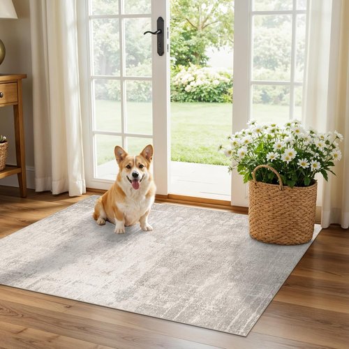 HAOYUNLAI Entryway Area Rug - Soft Washable Carpet with Non-Slip Backing | Distressed Beige/Cream (2x3)