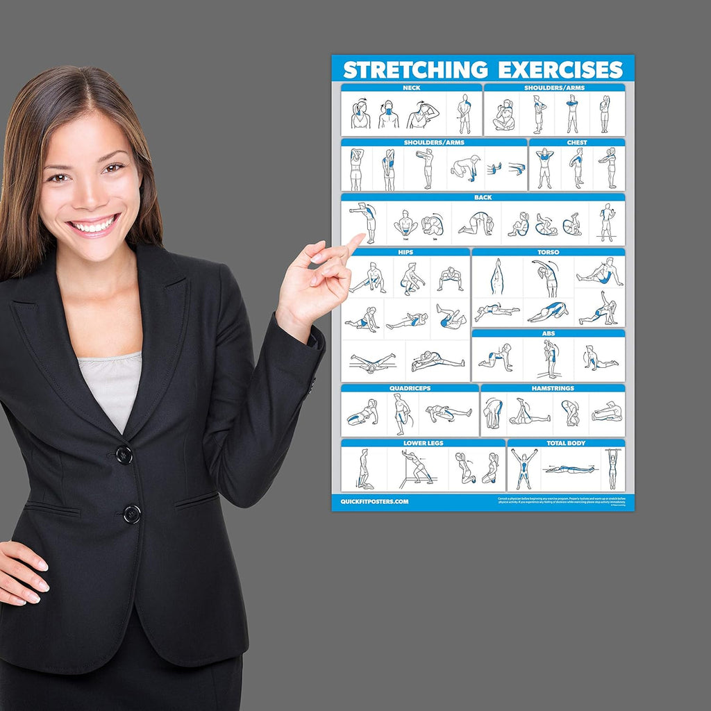 Palace Learning QUICKFIT Stretching Workout Poster - Laminated Stretch Routine (18" x 24")