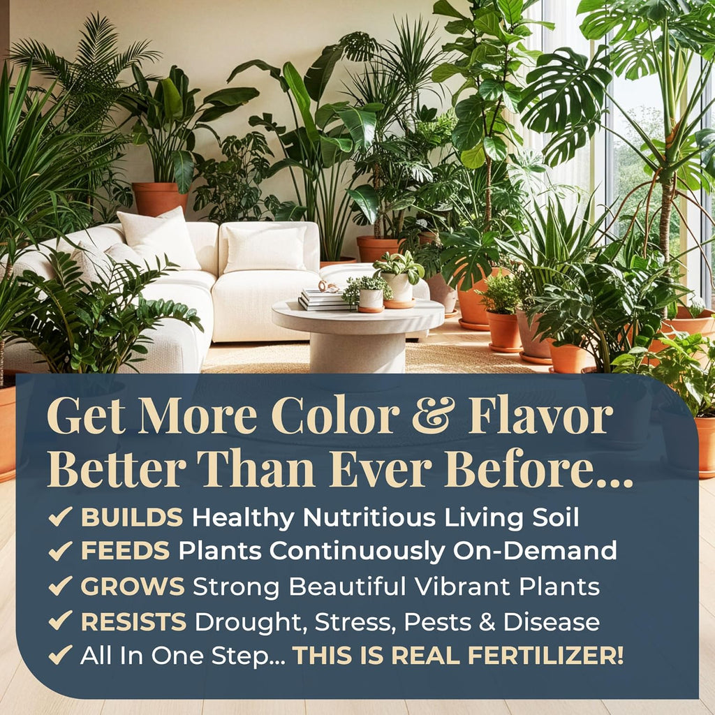 Organic Plant Magic - Fast-Acting Water Soluble Fertilizer - All-Purpose Plant Food for Indoor & Outdoor Use | 1/2 lb Bag