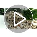 1200 Mini Seashells Set with Starfish for Crafting & Decor