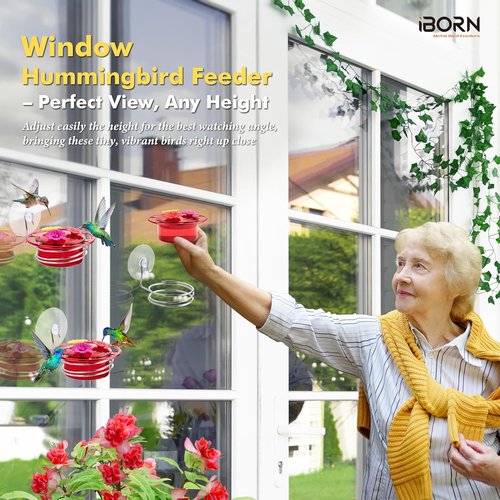 iBorn Mini Hummingbird Feeder - 3OZ Outdoor Feeder with Strong Suction Cup & Stainless Steel Base | 3 Feeding Ports