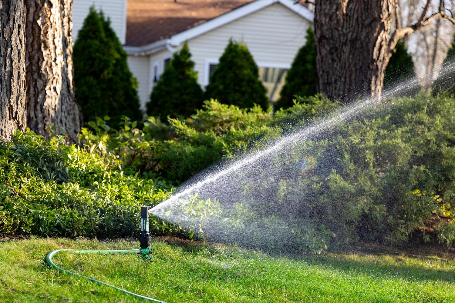 Rain Bird 42SASPG Gear Drive Rotor Sprinkler - Adjustable 40° to 360° Pattern, 26' to 38' Spray Distance